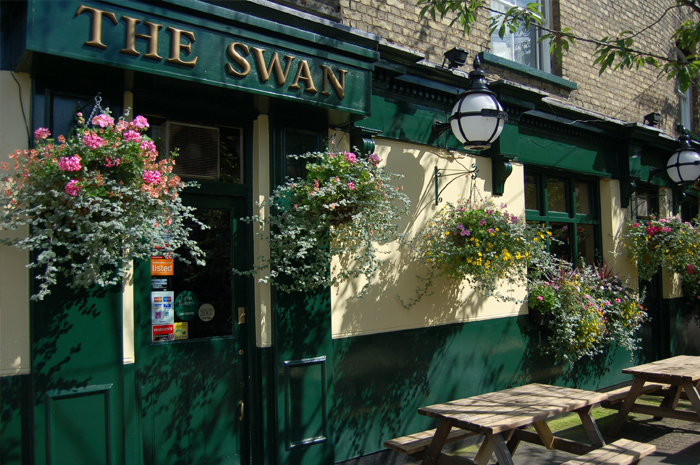 The Swan